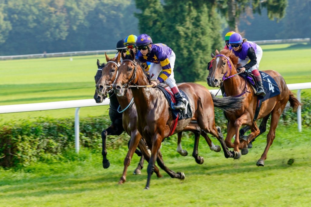 Horses racing at Taunton Racecourse