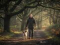The Best Dog-Friendly Walks Near Taunton: A Guide for Paws and People