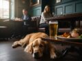 The Best Dog-Friendly Pubs in Taunton: A 2026 Guide for Paws and People