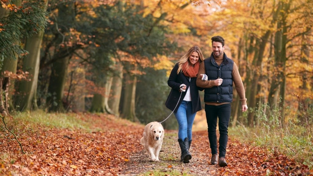Young couple and a dog walking through an autumn forrest in somerset.